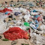 Plastikmüll, der bei einer UNEP-Kampagne an einem Strand von Bali gesammelt wurde.