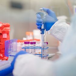 Eine Mikrobiologin führt COVID-19-Tests am staatlichen Labor für öffentliche Gesundheit in Exton, Pennsylvania, USA durch.