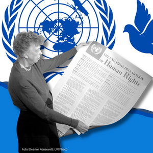 Links hält Eleanor Roosevelt eine Zeitung, die die Überschrift "Human Rights" zeigt. Auf der rechten Seite befindet sich ein Megafon, von dem ein Feld ausgeht, in welchem sich eine Waage, ein Paragraph als Symbol, eine Taube sowie das Logo der Vereinten Nationen befinden.