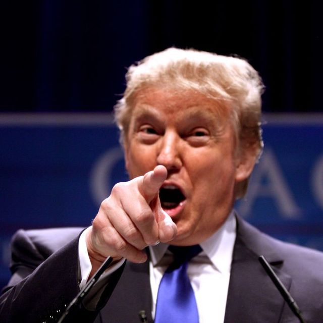 Donald Trump, der gewählte 45. Präsident der USA, auf einer Veranstaltung im Jahr 2011. Foto: Gage Skidmore