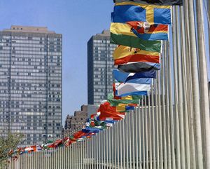 Flaggen von verschiedenen Mitgliedsstaaten in New York.