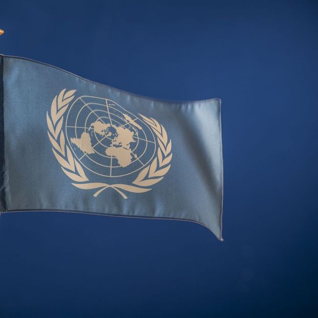 Flagge mit Weltkarte und zwei Olivenzweigen.