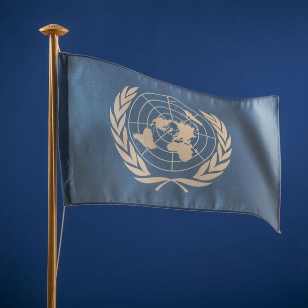 Flagge mit Weltkarte und zwei Olivenzweigen.