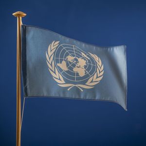 Flagge mit Weltkarte und zwei Olivenzweigen.