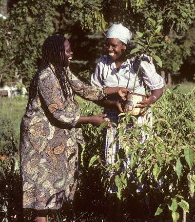 Zwei Frauen stehen eng zusammen, halten eine junge Pflanze in einem Topf in der Hand und lachen 
