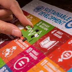 SDG Puzzle